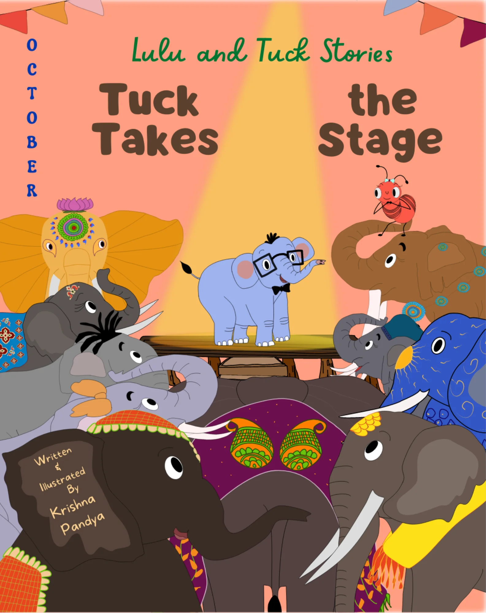 Lulu and Tuck Stories Tuck Takes the Stage No More Blank Pages Front